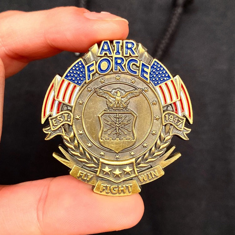 US Air Force Veteran's Day Pin