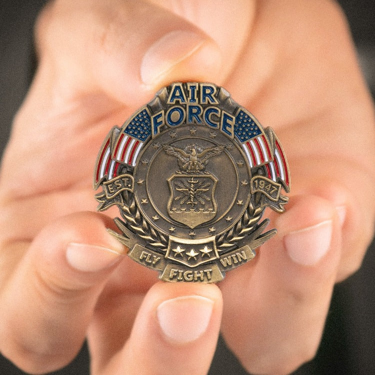 US Air Force Veteran's Day Pin