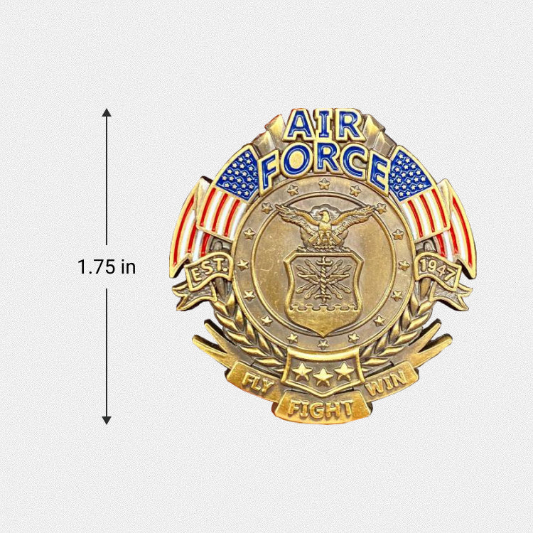 US Air Force Veteran's Day Pin