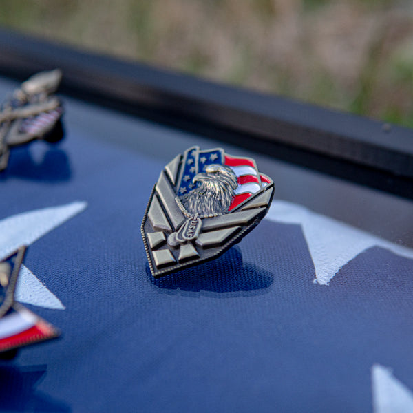 US Air Force Veteran Pin