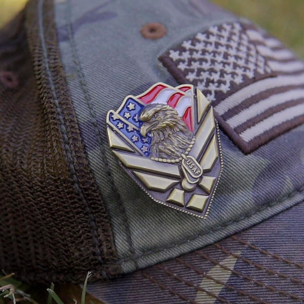 US Air Force Veteran Pin